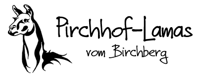 Pirchhof-Lamas vom Birchberg / Südtirol